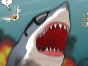 תקיפת כריש